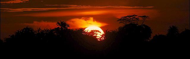 都市神醫葉辰很囂張_第348章 一方凈土（一更）