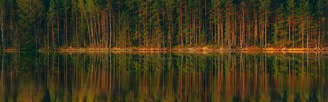 都市神醫葉辰很囂張_第12105章 任非凡近況