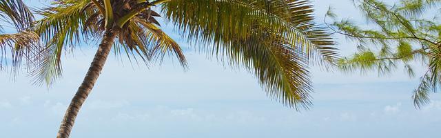 論神殿的建立繁體免費章節免費享，期待您的品鑒