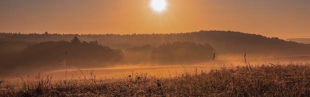 上門龍婿葉辰蕭初然_第410章 禁止入內！