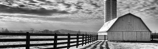 掌門師叔不可能是凡人繁體免費章節，邀您共賞