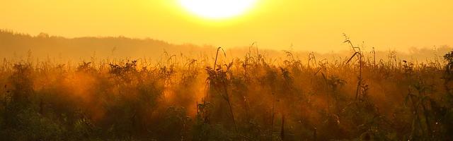 反派都是我馬甲繁體免費章節，邀您共賞