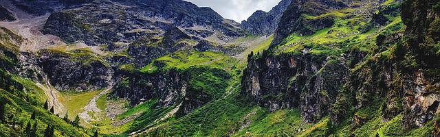 上門龍婿葉辰蕭初然_第3187章 媽媽你可一定要救我們