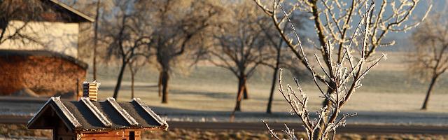 榮耀王者繁體免費章節免費享，期待您的品鑒