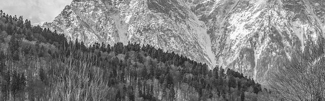 上門龍婿葉辰蕭初然_第3302章 不入流的朋友