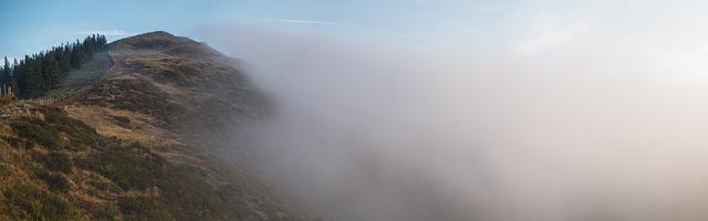 上門龍婿葉辰蕭初然_第3343章 絞肉機