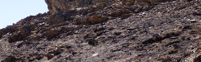 都市神醫葉辰很囂張_第111章 環環相扣！（求推薦票！）