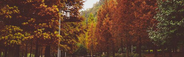 上門龍婿葉辰蕭初然_第3121章 死也要拉上你一起