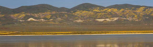 臨淵行繁體免費章節，邀您共賞