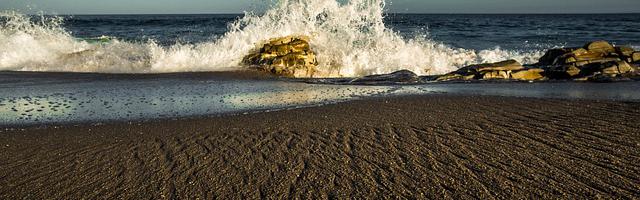 都市神醫葉辰很囂張_第164章 惡性事件！（求推薦票！）