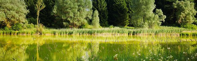 都市神醫葉辰很囂張_第 11825 章 愿望交織