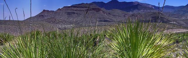 都市神醫葉辰很囂張_第2章 解圍！