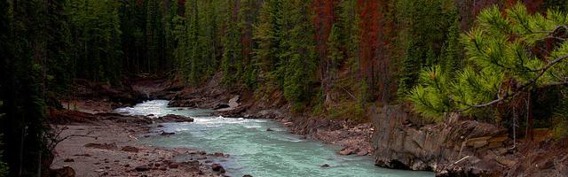 上門龍婿葉辰蕭初然_第267章 葉辰的大智慧