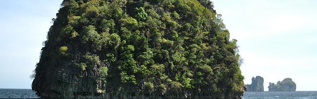 上門龍婿葉辰蕭初然_第11章 邀請董事長