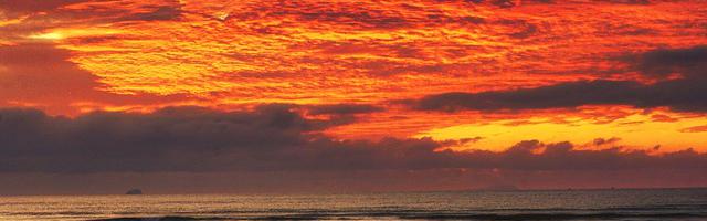 我快虧成麻瓜了繁體免費章節免費享，期待您的品鑒