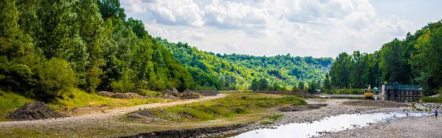 都市神醫葉辰很囂張_第12194章 滿盤皆輸