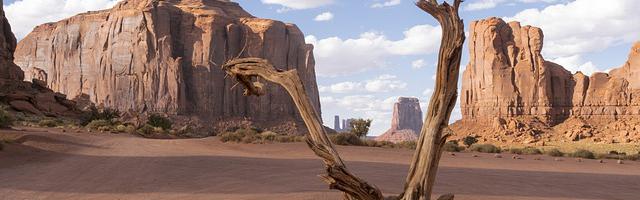 都市神醫葉辰很囂張_第12221章 閻浮（三章合一）