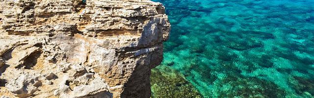 聯盟：我的青鋼影讓母校出名了繁體免費章節免費享，期待您的品鑒