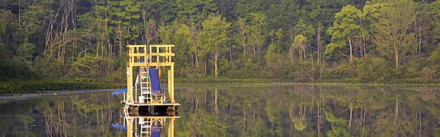 上門龍婿葉辰蕭初然_第43章 來者不善