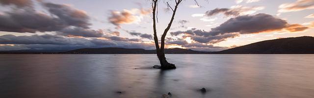 都市神醫葉辰很囂張_第 12043 章 不懼詛咒