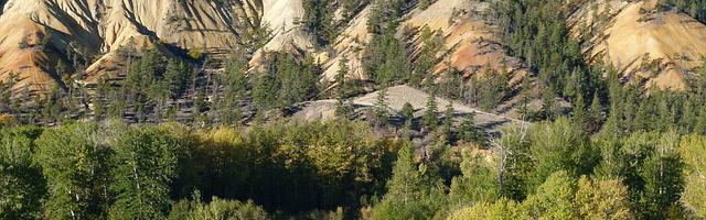 從斗羅開始的浪人繁體免費章節免費享，期待您的品鑒