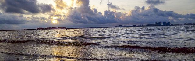 都市神醫葉辰很囂張_第12302章 因果（三合一）