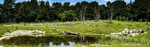 上門龍婿葉辰蕭初然_第116章 請葉先生救命！