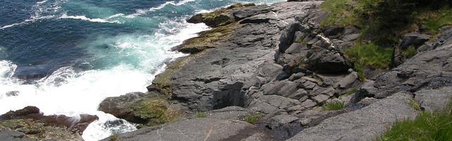 都市神醫葉辰很囂張_第501章 虧欠！（二更！）