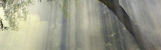 都市神醫葉辰很囂張_第12214章 日月突破