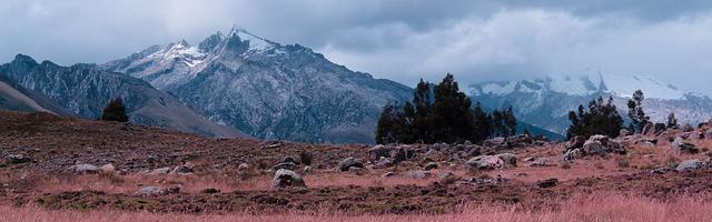 加一個，我不太會打繁體免費章節免費享，期待您的品鑒