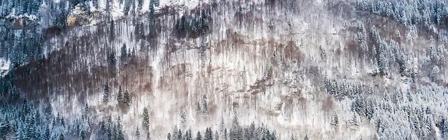 上門龍婿葉辰蕭初然_第565章 割葉辰的韭菜！