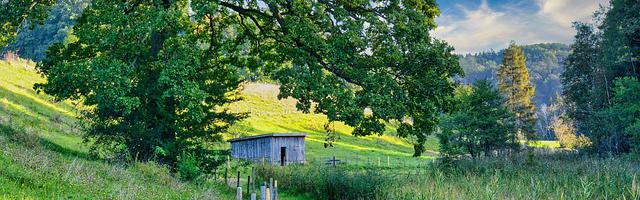 上門龍婿葉辰蕭初然_第3340章 阻擊！