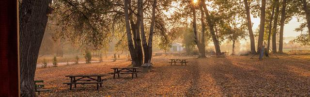 三國之老師在此繁體免費章節免費享，期待您的品鑒