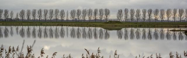 上門龍婿葉辰蕭初然_第3072章 墨菲定律