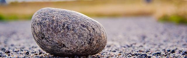 都市神醫葉辰很囂張_第12082章 勸說