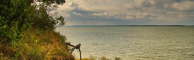 都市神醫葉辰很囂張_第46章 神醫！（加更）