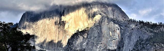 上門龍婿葉辰蕭初然_第58章 多虧有你！