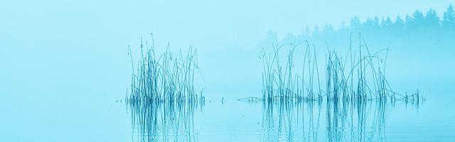 上門龍婿葉辰蕭初然_第3259章 在火海中崩塌！