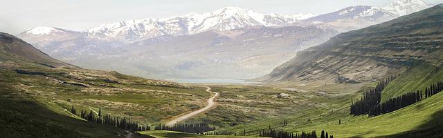 都市神醫葉辰很囂張_第56章 這就是所謂的大飯店？（加更）