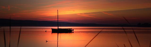 都市神醫葉辰很囂張_第 12053 章 如此之仇