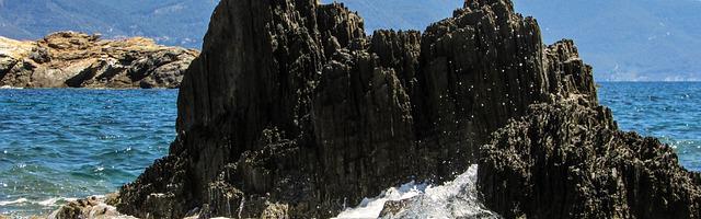 都市神醫葉辰很囂張_第 12064 章 意外出手