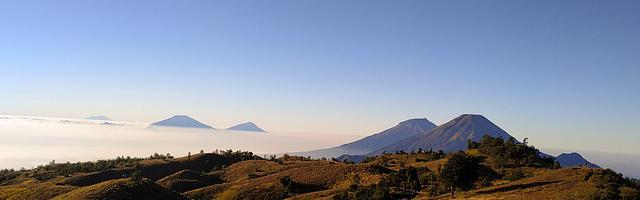 上門龍婿葉辰蕭初然_第3212章 白手套