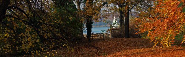 都市神醫葉辰很囂張_第12279章 化解（三章合一）