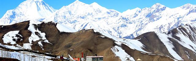 都市神醫葉辰很囂張_第12305章 始（三合一）