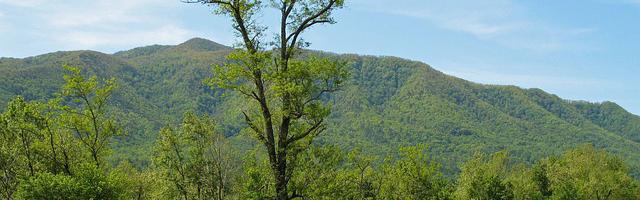 上門龍婿葉辰蕭初然_第3019章 無意識界