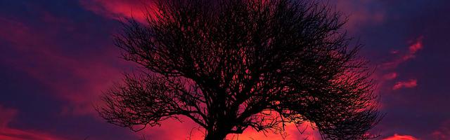 全職之職業歐皇繁體免費章節免費享，期待您的品鑒