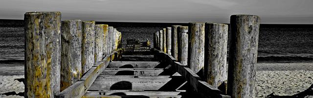 上門龍婿葉辰蕭初然_第249章 把命留下！