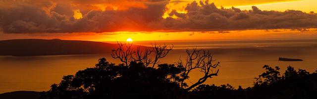 一胎二寶：億萬首席愛妻入骨繁體免費章節免費享，期待您的品鑒