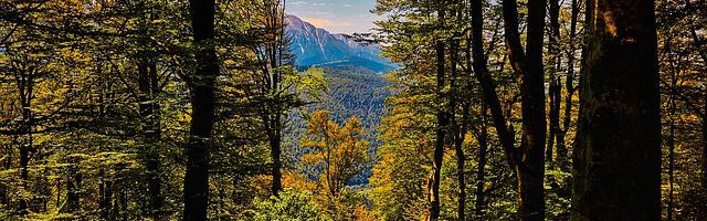 都市神醫葉辰很囂張_第12144章 夢的手段