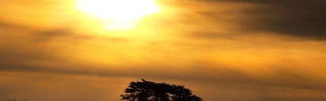 上門龍婿葉辰蕭初然_第371章 讓劉廣先跑一會兒